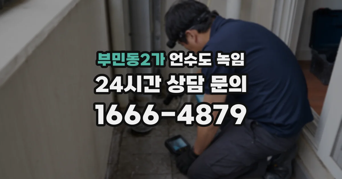 부민동2가 언수도 녹임