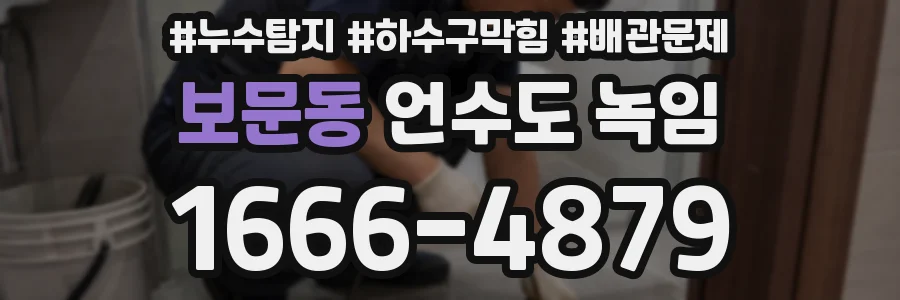 보문동 언수도 녹임