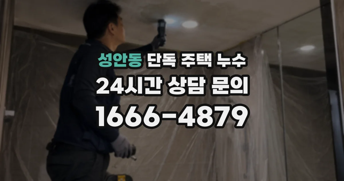 성안동 단독 주택 누수