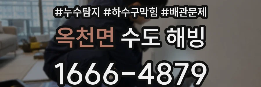 옥천면 수도 해빙