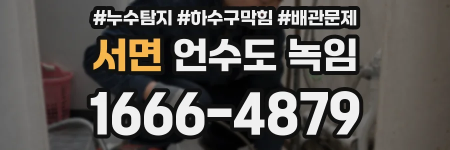 서면 언수도 녹임