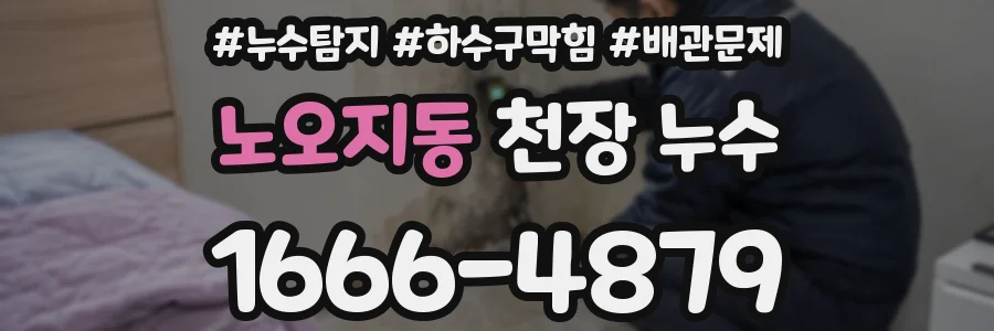 노오지동 천장 누수