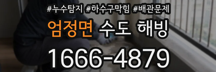 엄정면 수도 해빙