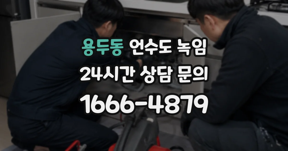 용두동 언수도 녹임