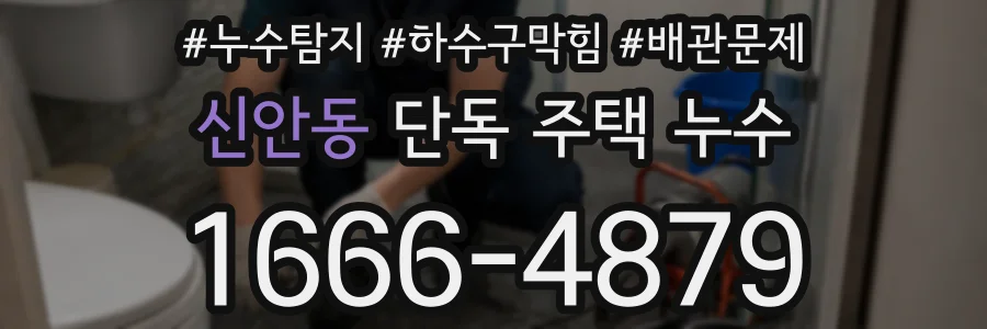 신안동 단독 주택 누수