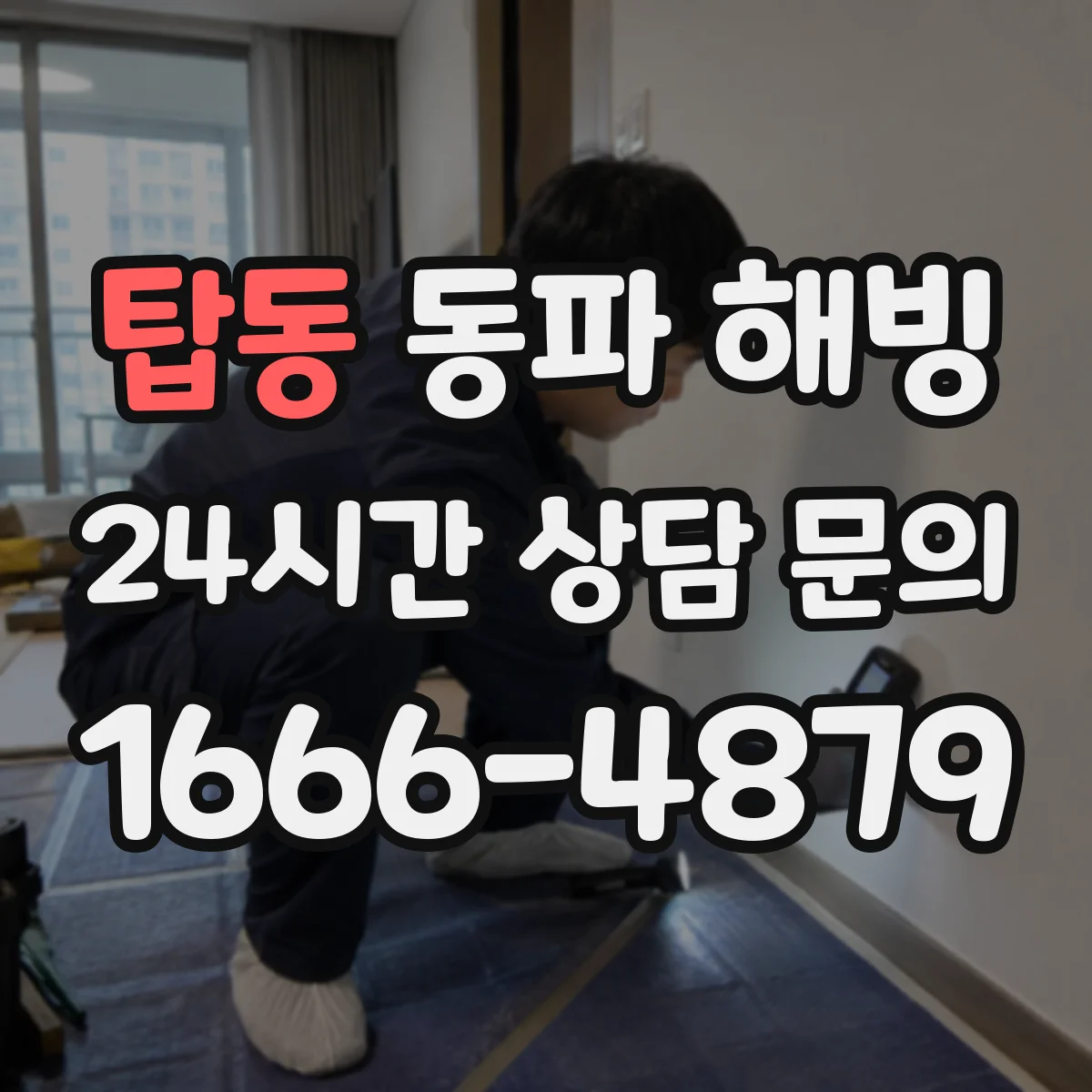 탑동 동파 해빙