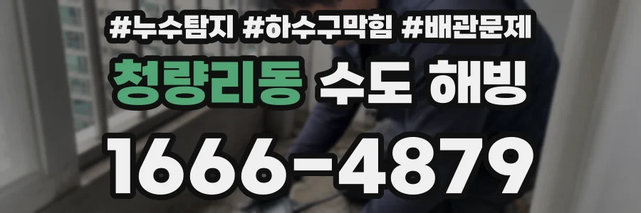 청량리동 수도 해빙