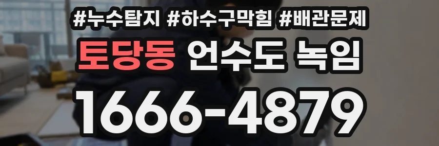 토당동 언수도 녹임