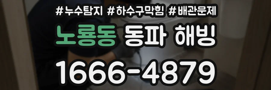 노룡동 동파 해빙