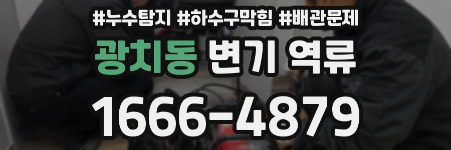 광치동 변기 역류