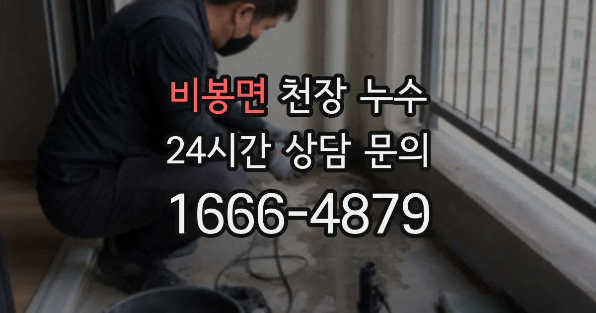 비봉면 천장 누수