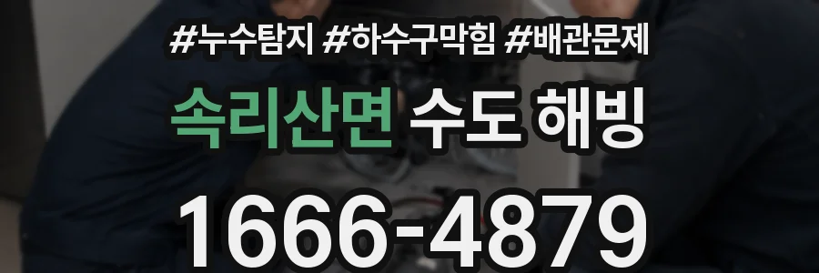 속리산면 수도 해빙