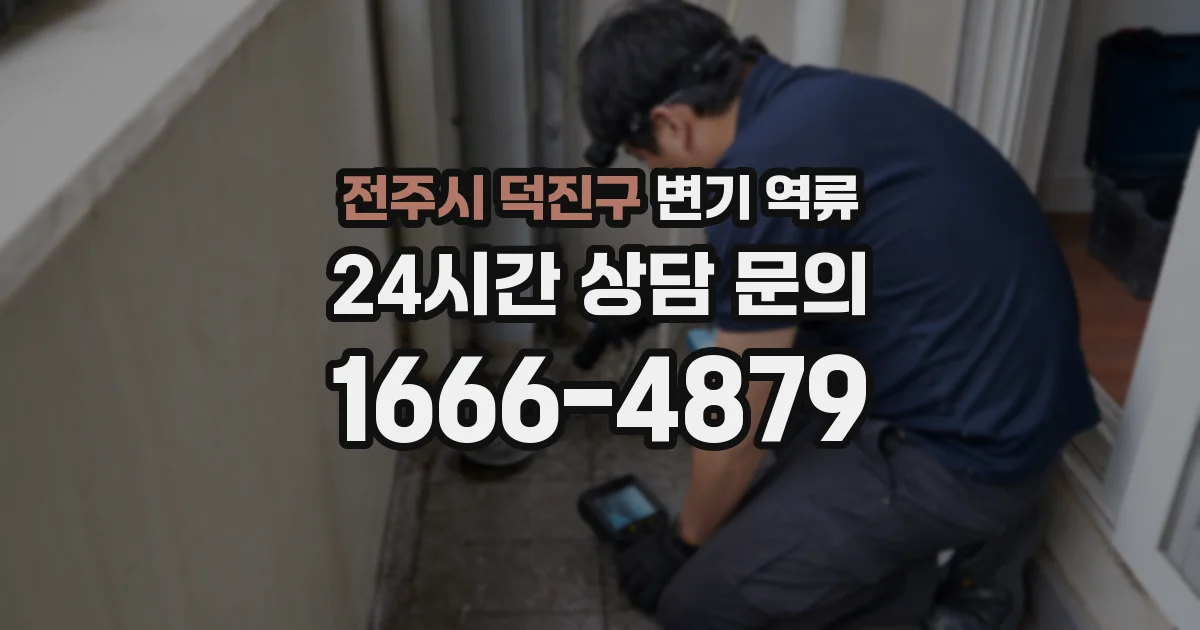 전주시 덕진구 변기 역류