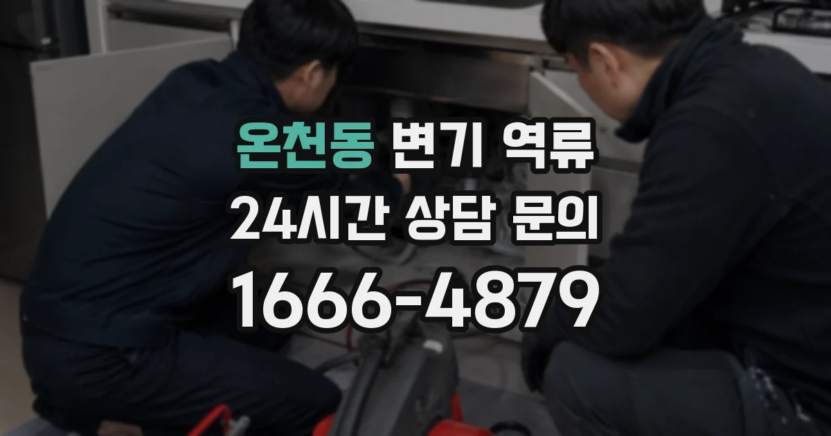 온천동 변기 역류