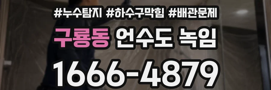 구룡동 언수도 녹임