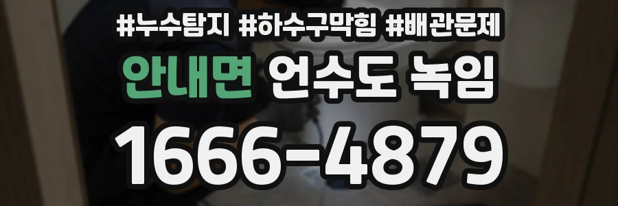 안내면 언수도 녹임