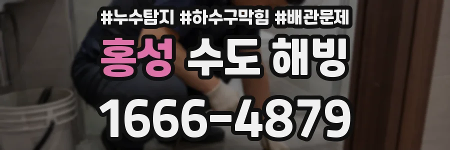 홍성 수도 해빙