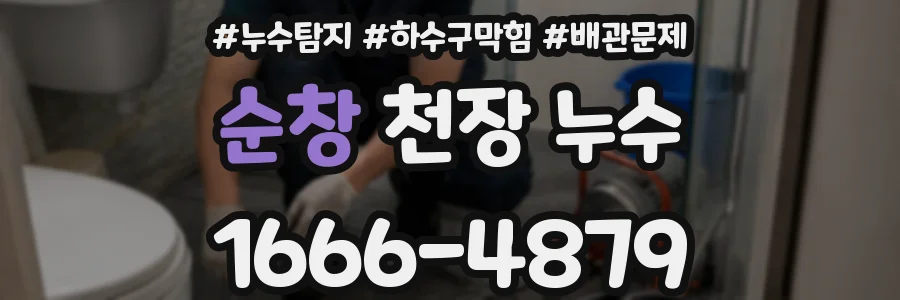 순창 천장 누수