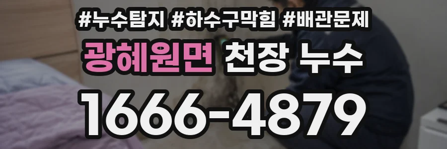 광혜원면 천장 누수