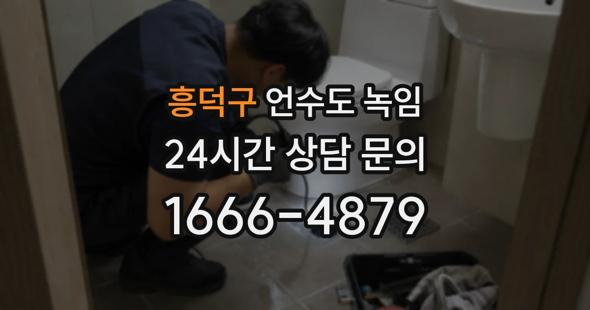 흥덕구 언수도 녹임
