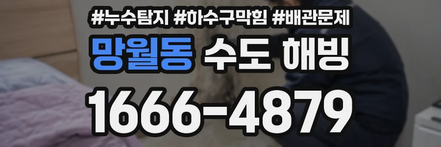 망월동 수도 해빙