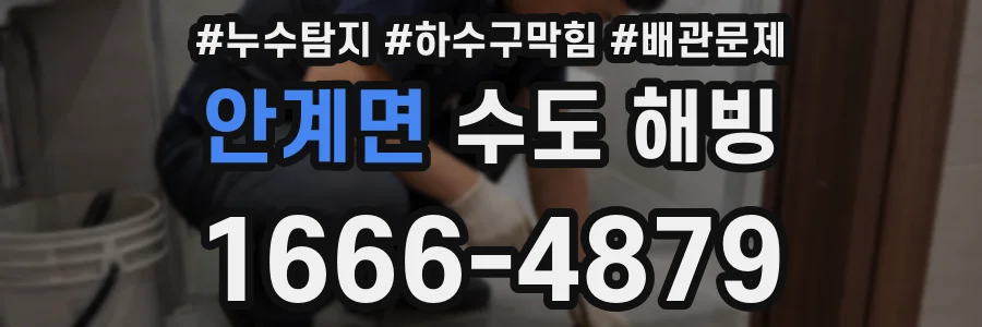 안계면 수도 해빙