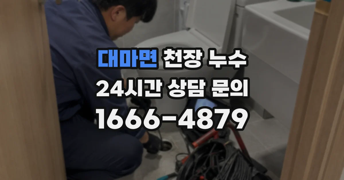 대마면 천장 누수