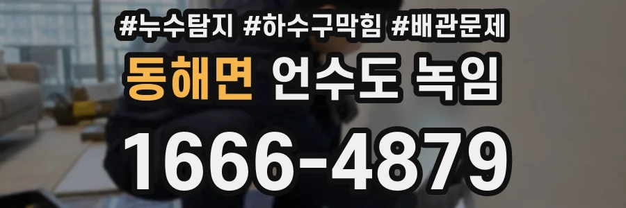 동해면 언수도 녹임