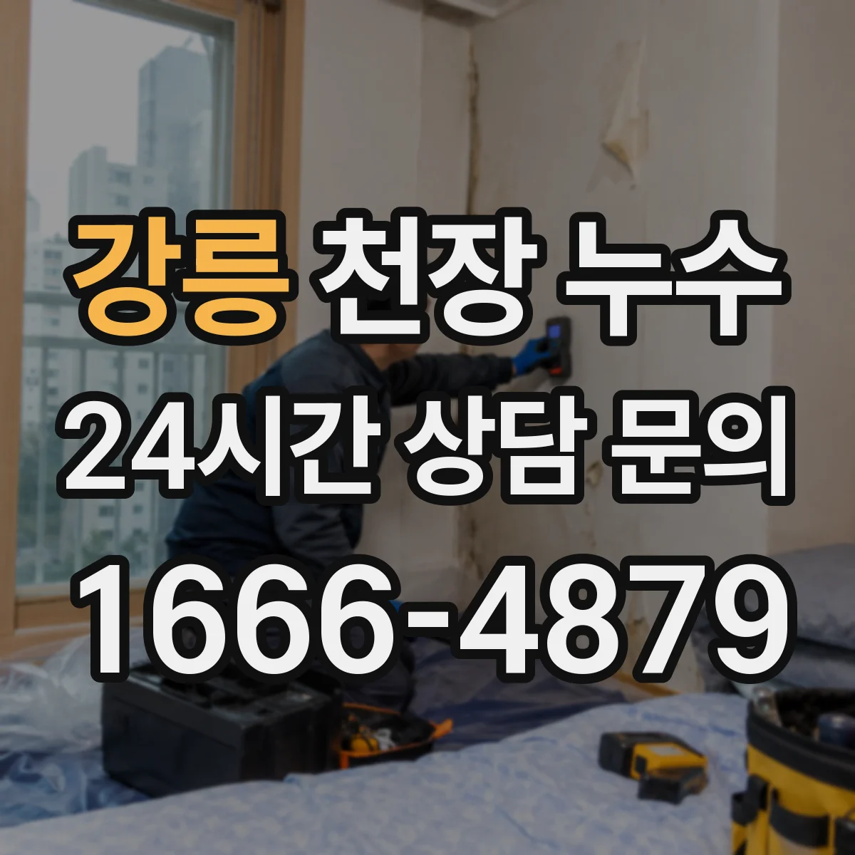 강릉 천장 누수 벽지 부풀음과 곰팡이 번짐을 구분하기