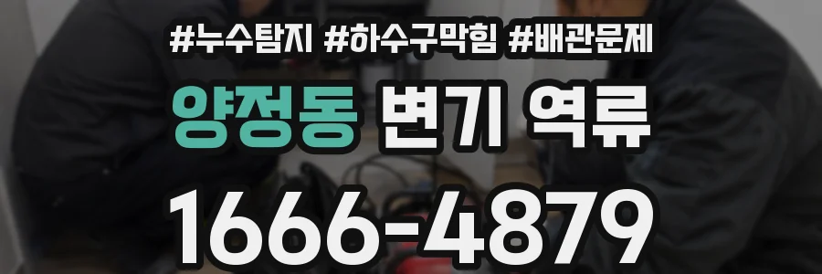양정동 변기 역류