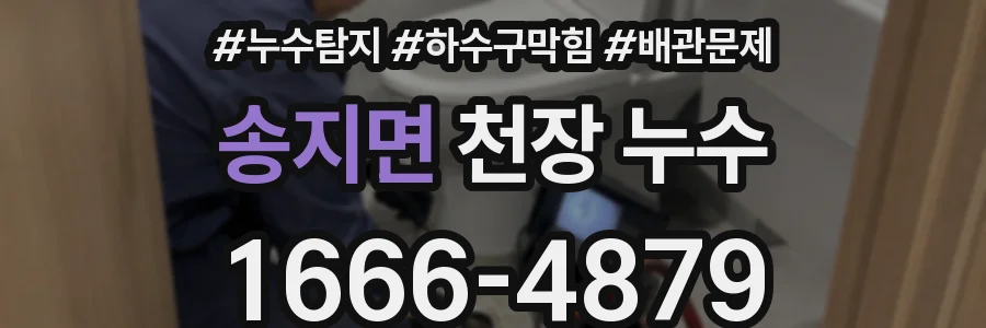 송지면 천장 누수