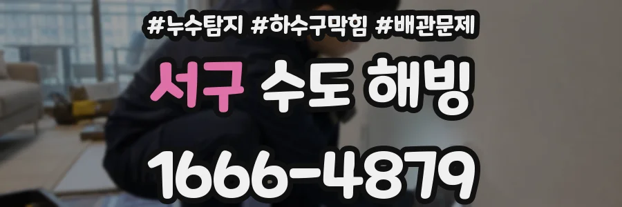 서구 수도 해빙