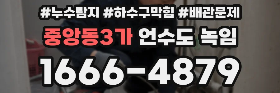 중앙동3가 언수도 녹임