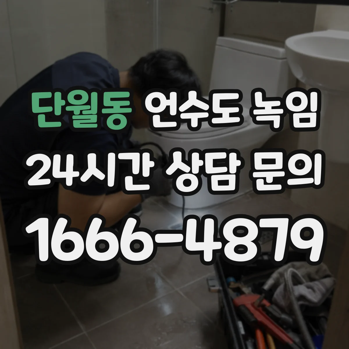 단월동 언수도 녹임