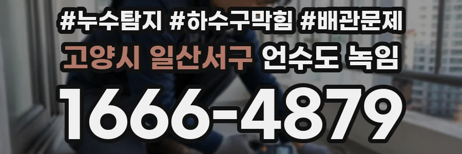 고양시 일산서구 언수도 녹임