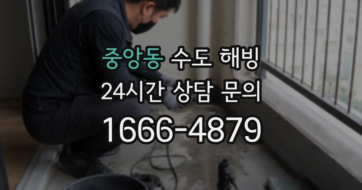 중앙동 수도 해빙