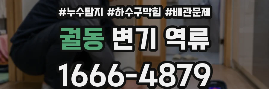 궐동 변기 역류