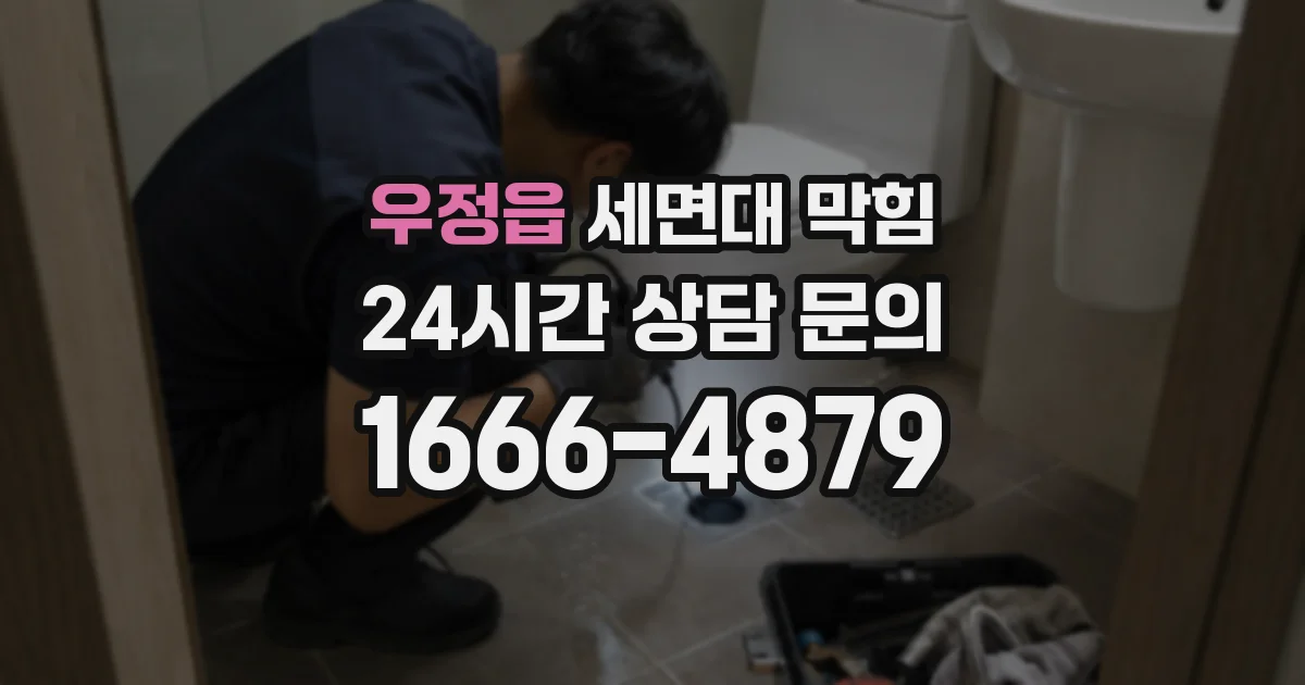 우정읍 세면대 막힘