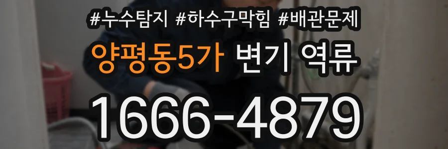 양평동5가 변기 역류