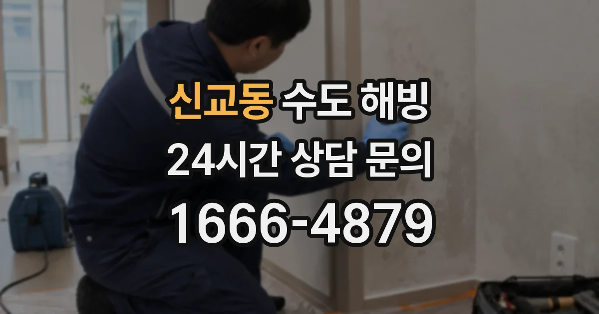 신교동 수도 해빙