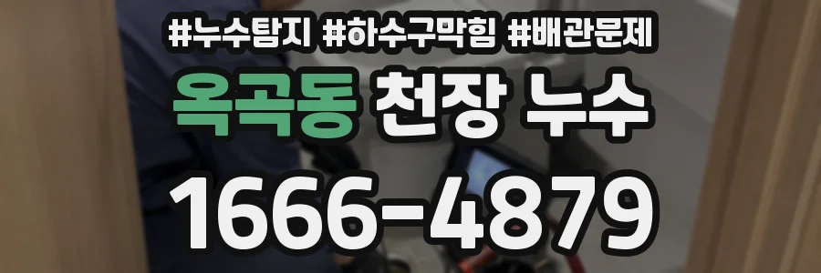 옥곡동 천장 누수