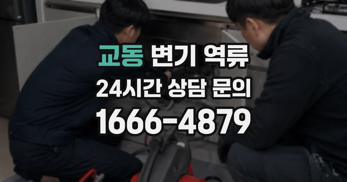 교동 변기 역류