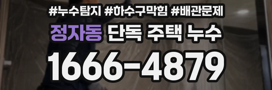 정자동 단독 주택 누수