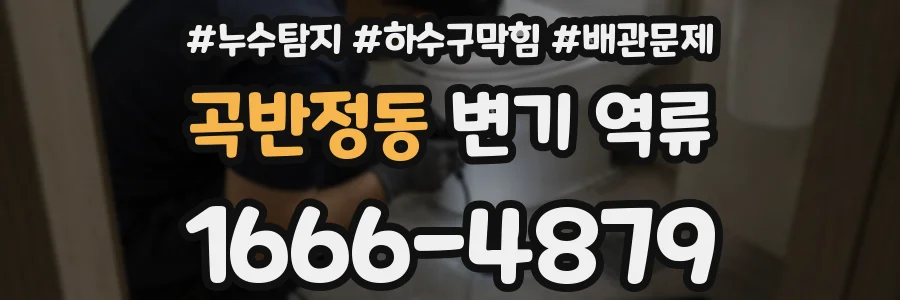 곡반정동 변기 역류