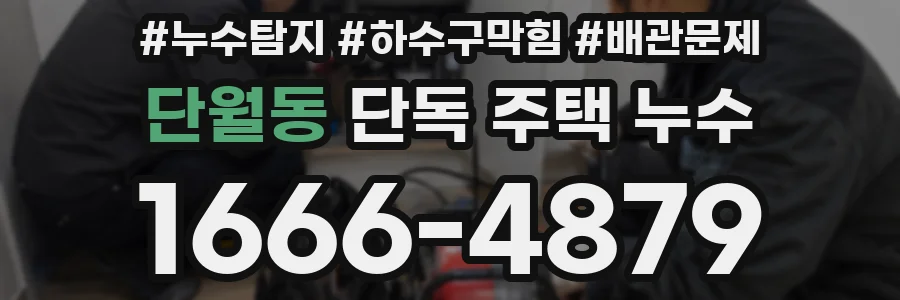 단월동 단독 주택 누수