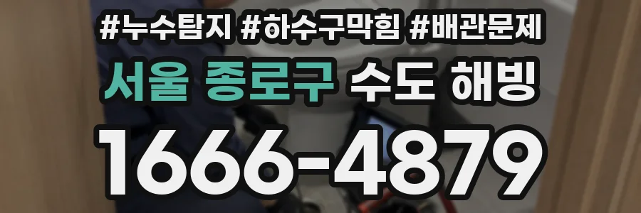 서울 종로구 수도 해빙