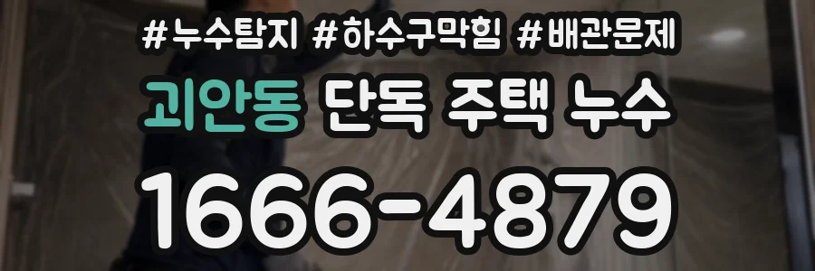 괴안동 단독 주택 누수