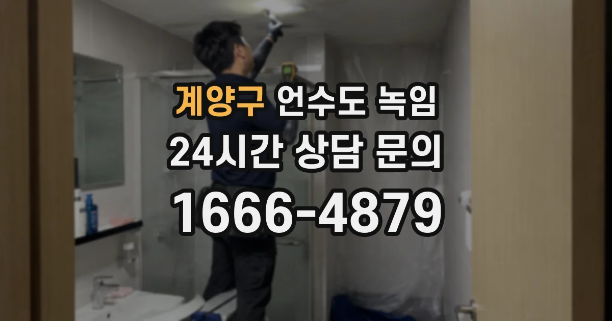 계양구 언수도 녹임