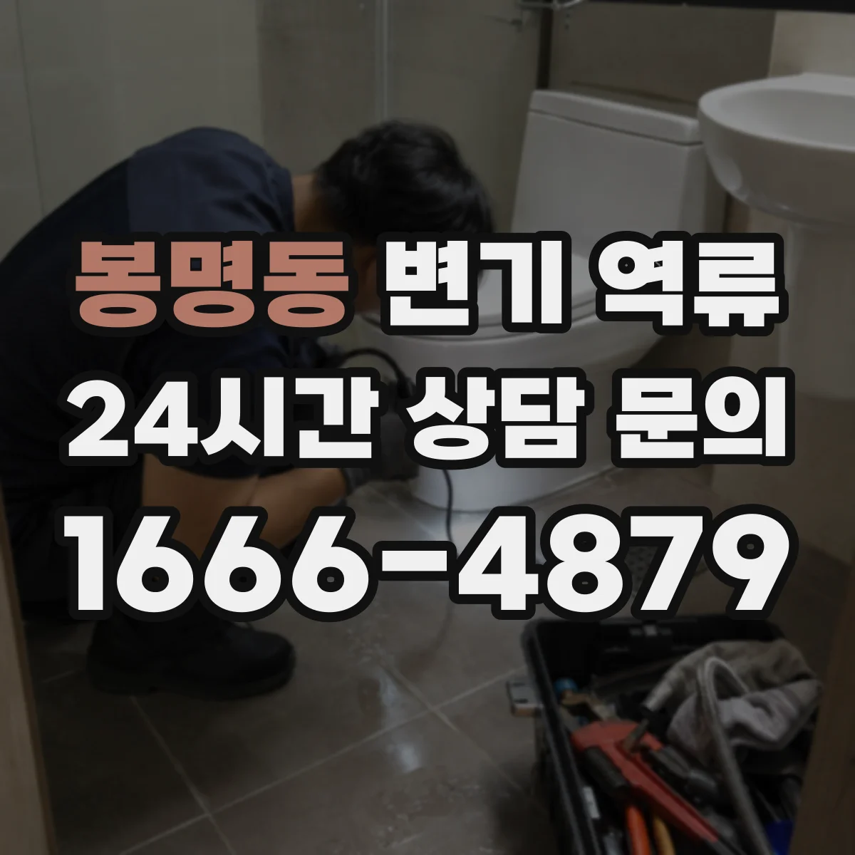 봉명동 변기 역류