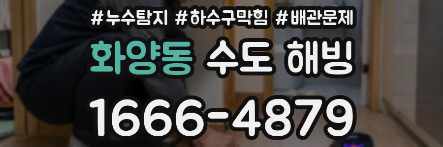 화양동 수도 해빙